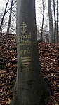 IMG_20201120_142635