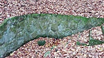 IMG_20201120_142620
