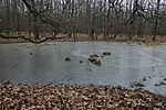 IMG_0560