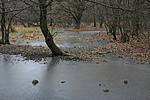 IMG_0562