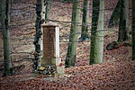 IMG_9209