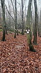 20201213_103236