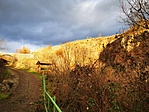 IMG_20201206_082853