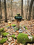 IMG_20201206_091913