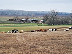 IMG_20201219_123051