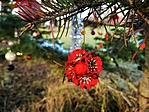 IMG_20201225_090311