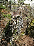 IMG_20201225_115659