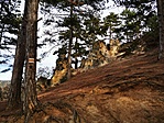 IMG_20201225_115755