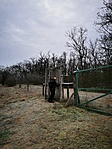 IMG_20201227_102424