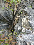 P1210706