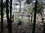 P1210989