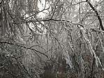 IMG_20201220_122840