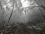 IMG_20201220_122833