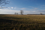 IMGP0082