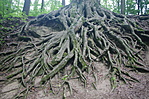 IMGP0051