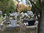 IMG_3722