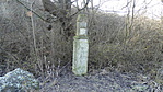 DSC00376