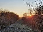 20210107_075251