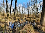 20210107_115855 copy
