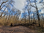 20210107_120622 copy