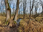 20210107_112513 copy