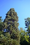 P1130603R