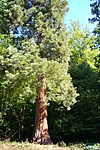 P1130604R