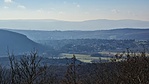 2021-01-09 12.03.37R