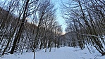 2021-01-17 15.36.55R