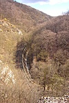 P1150627R