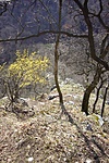 P1150633R