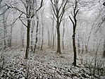 05_resize_2