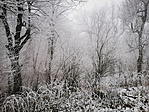 03_resize_2