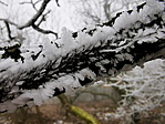 06_resize_2