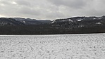 20210117_104657[1]