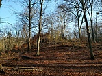Maradvány