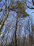 IMG_20210116_113805