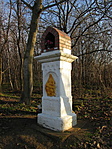 2021 01 09 Cikó-Mecseknádasd 019