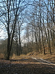 -3