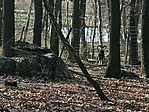 IMG_20210103_132948