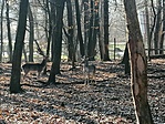 IMG_20210103_133230