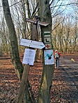IMG_20210109_103550