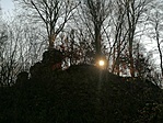 IMG_20210109_104433