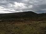 IMG_20210130_131002