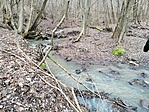 IMG_20210130_133549