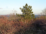 DSC08921