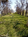 20190421_120310