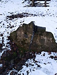 IMG_20210120_155817[1]