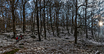 _DSC5147_PANO