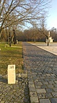 IMAG7460